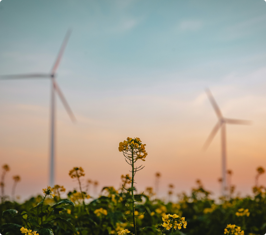 gold standard for the global goals