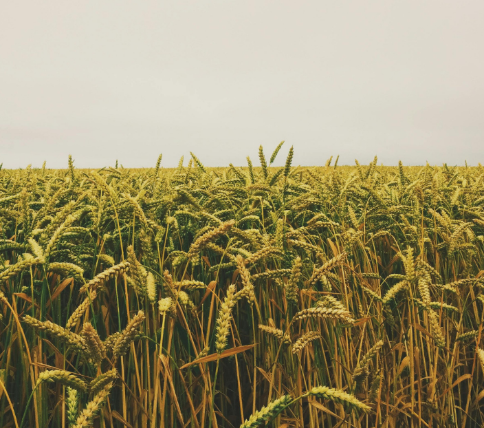 GHG emission factor verification