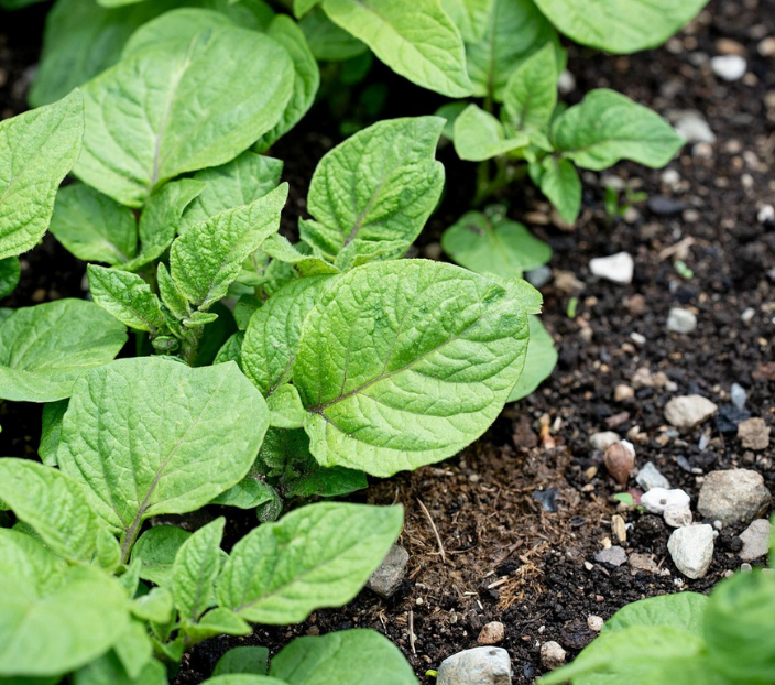 Water, Beach, Partnership
