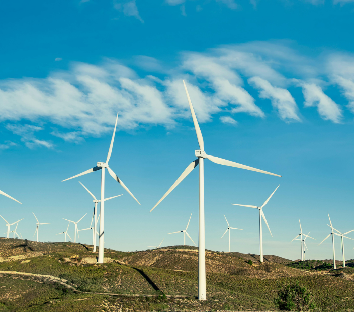 Digital MRV Wood Color