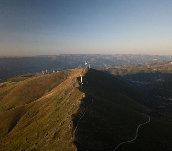 Voluntary Carbon Market