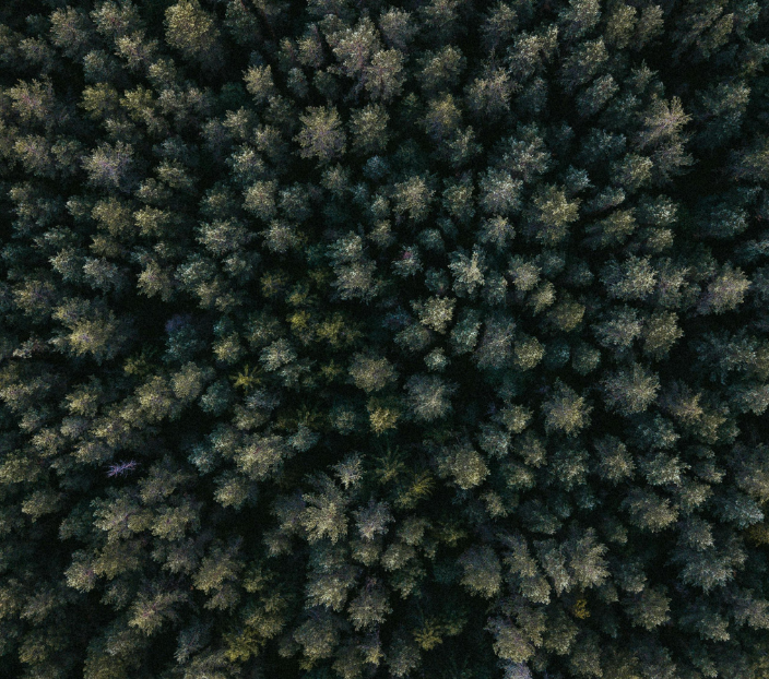 Verra & VCS Card Image