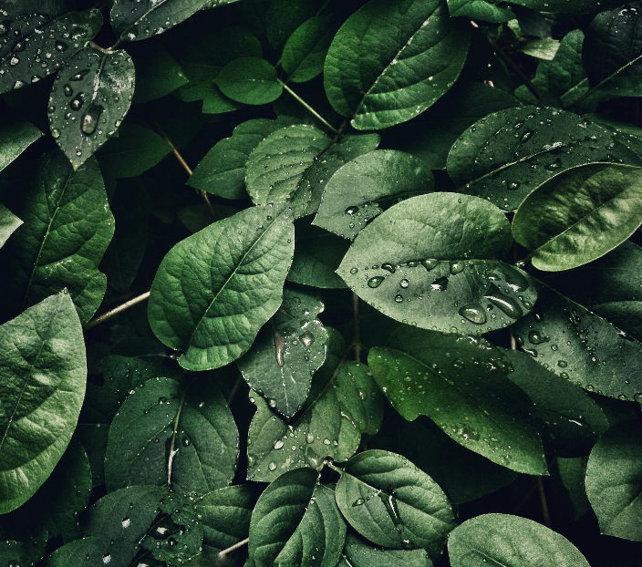 Scope 3 Impact Management Graphic