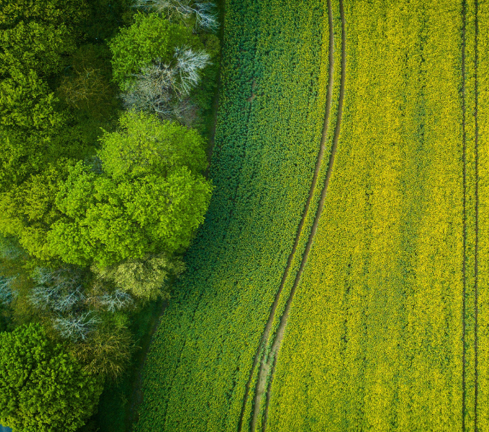 Scope 3 Impact Modeling