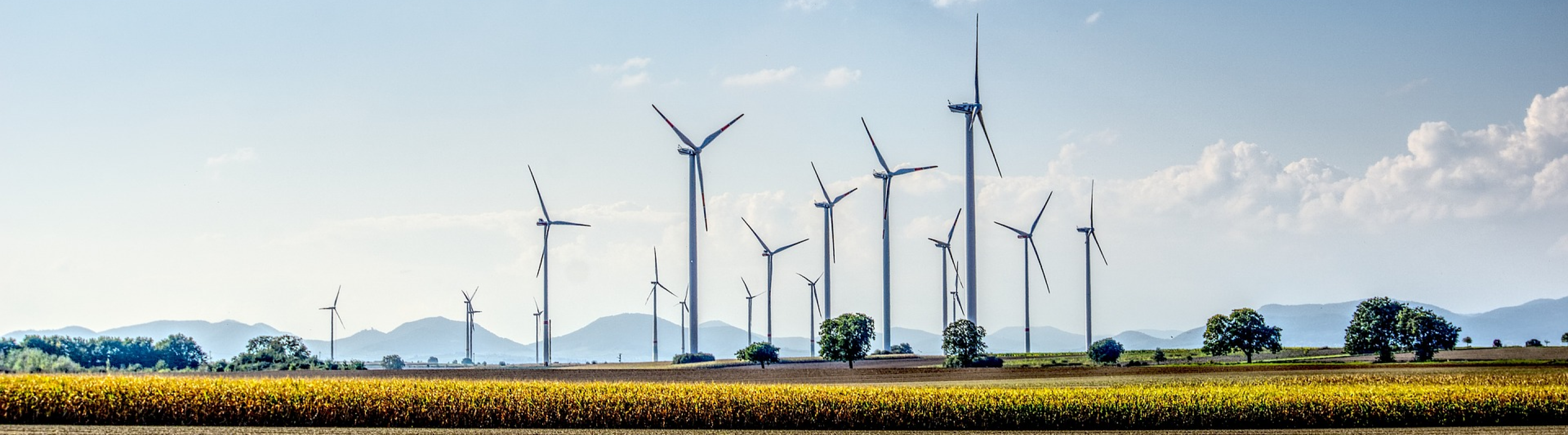 Company climate strategies: inset vs offset