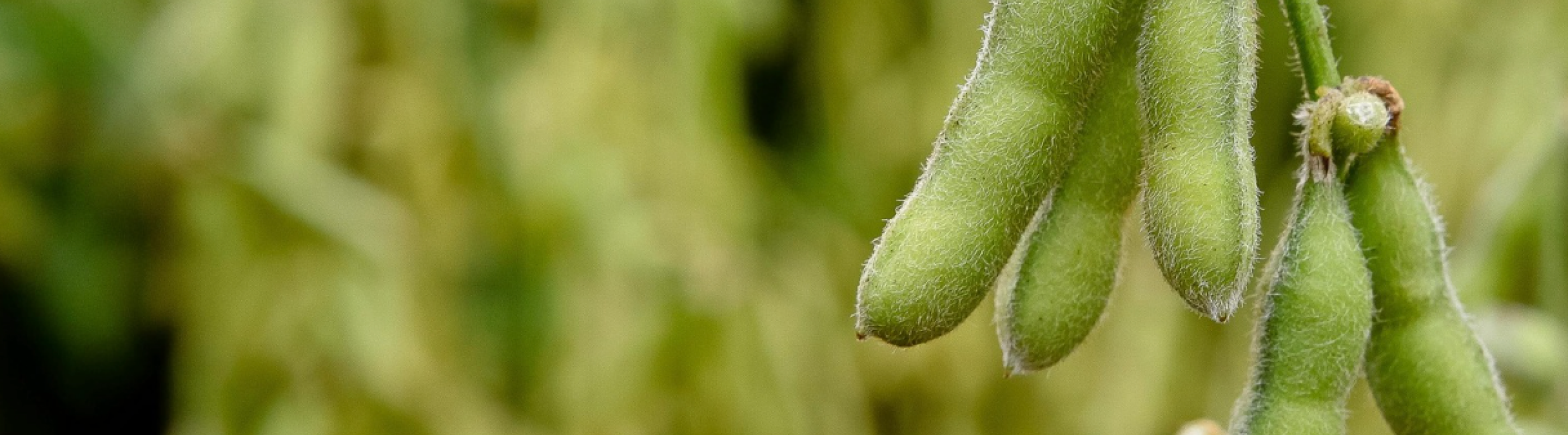 Inventory accounting