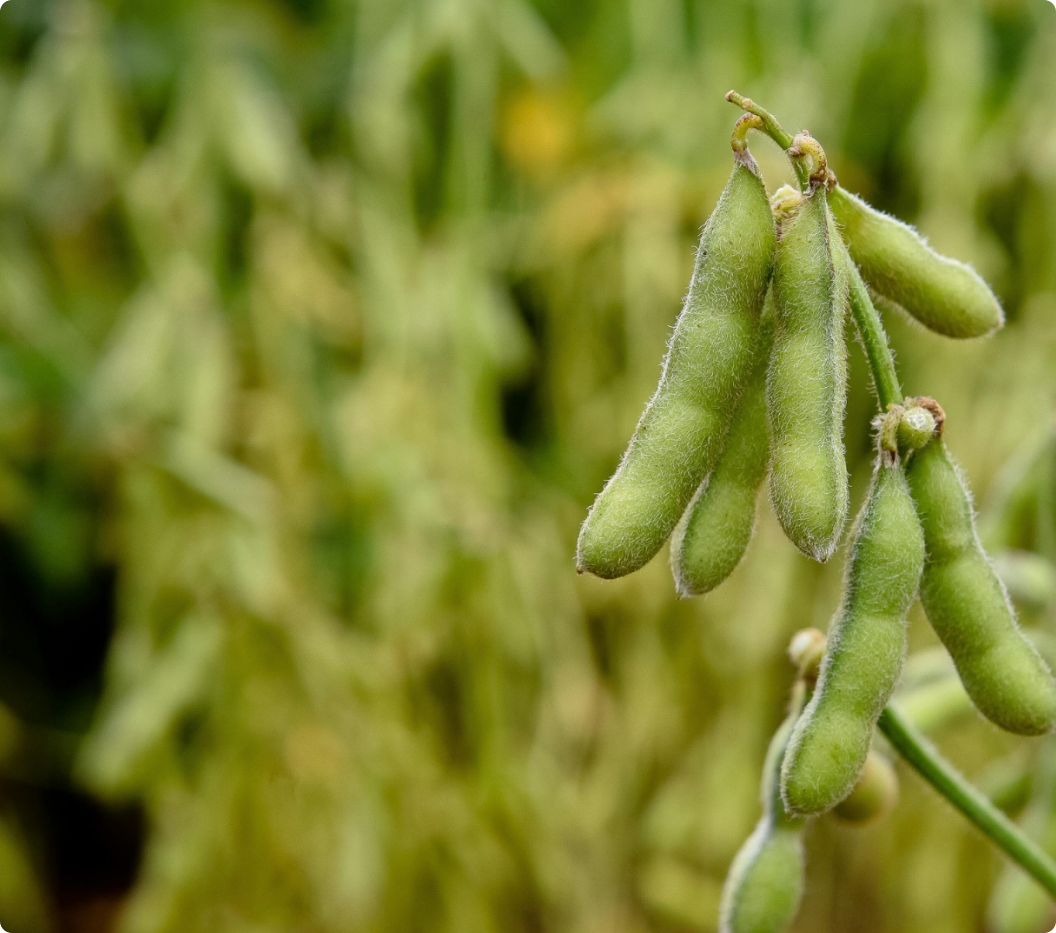 Inventory accounting