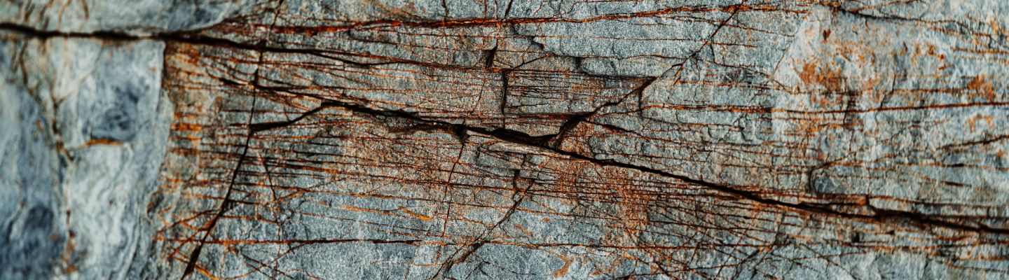 wood grain close up gray banner