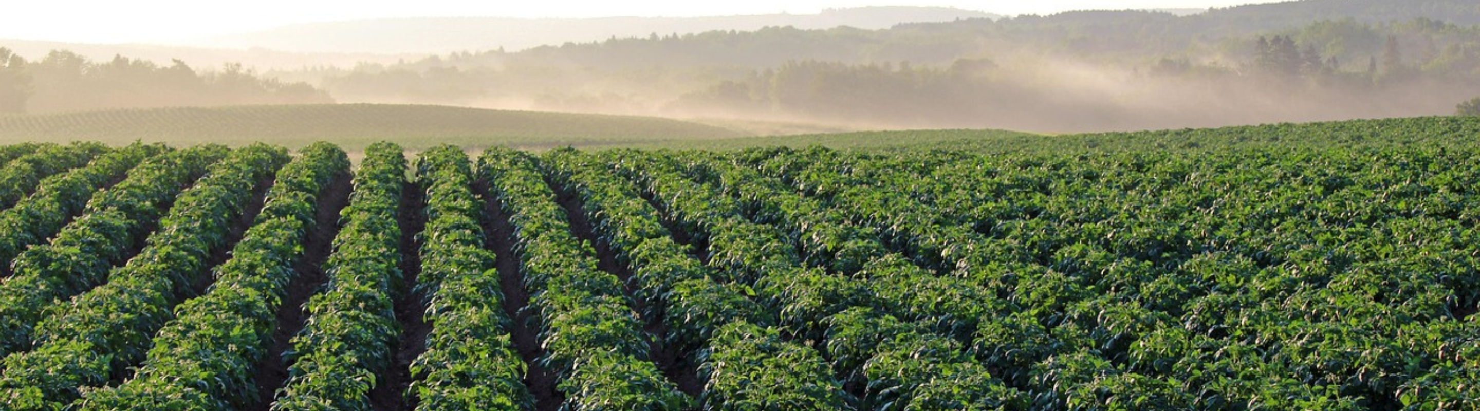 GHG removals in agriculture