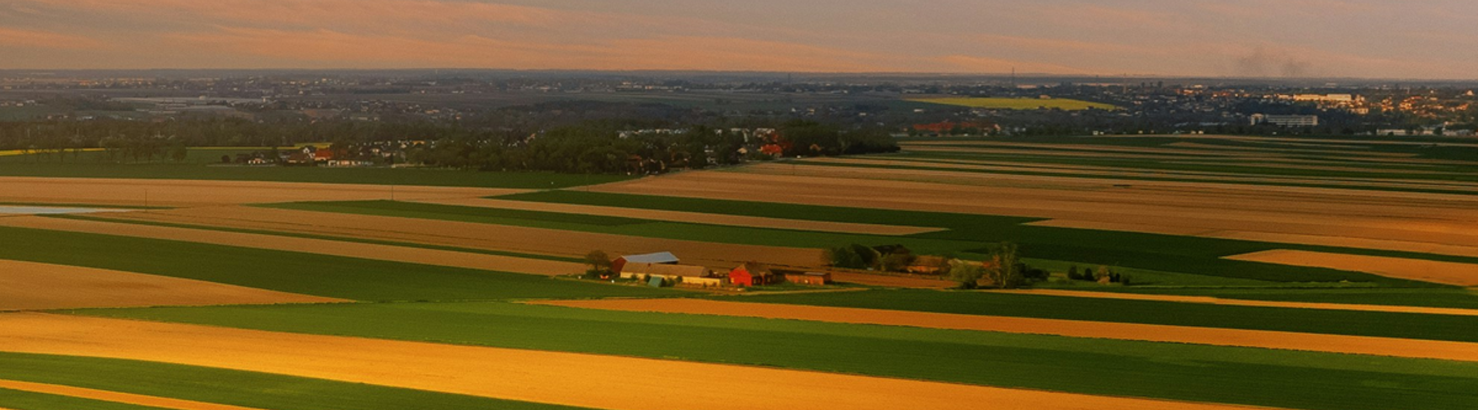 Gold Standard Paris Agreement