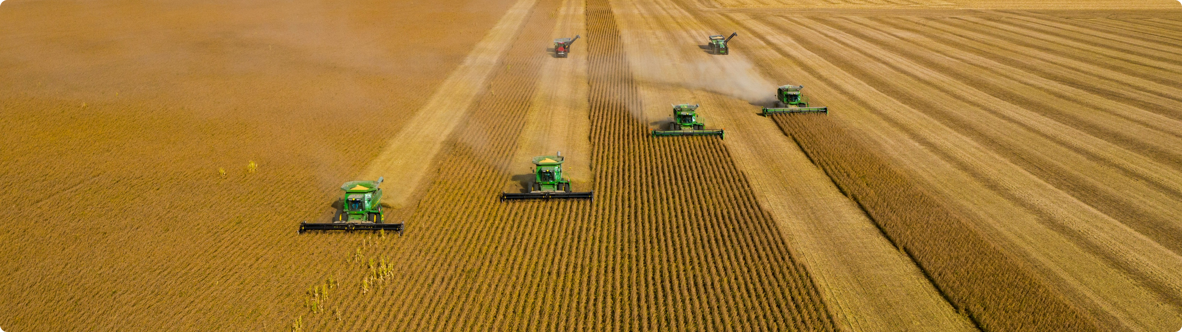 Tractor on the field