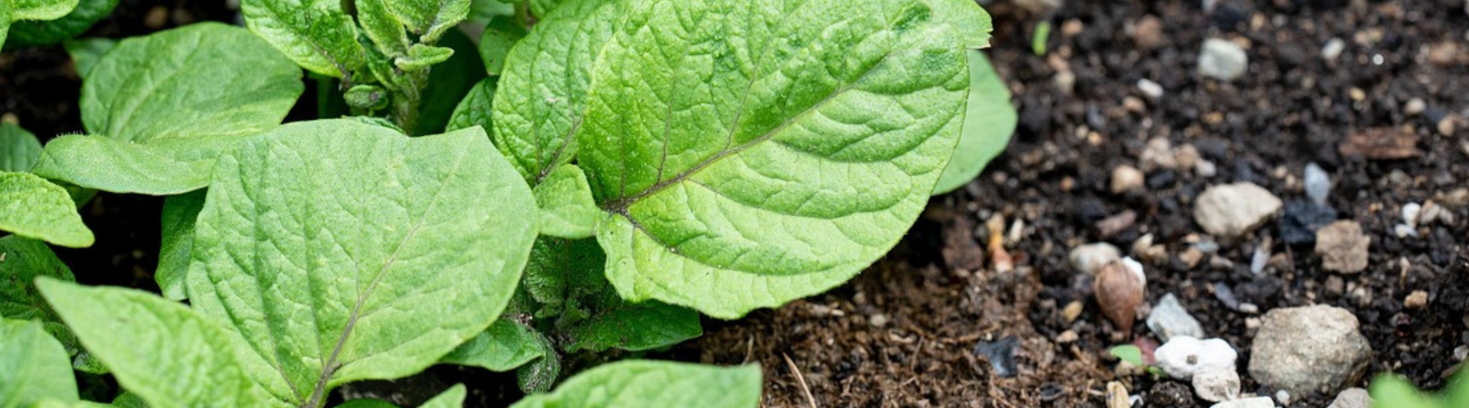 Water, Beach, Partnership