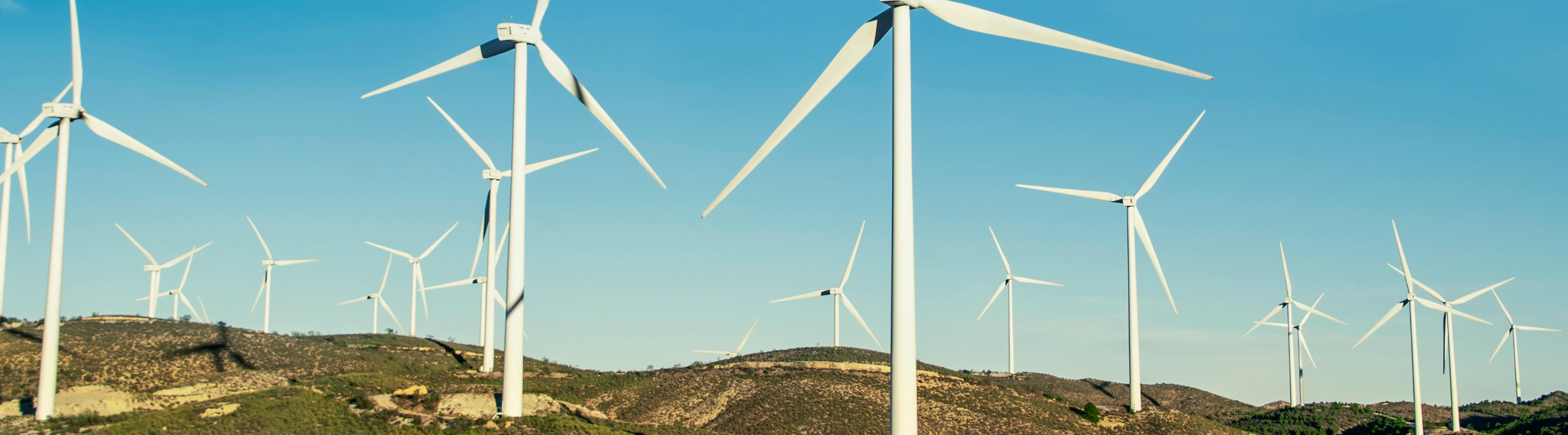 Digital MRV Wood Color