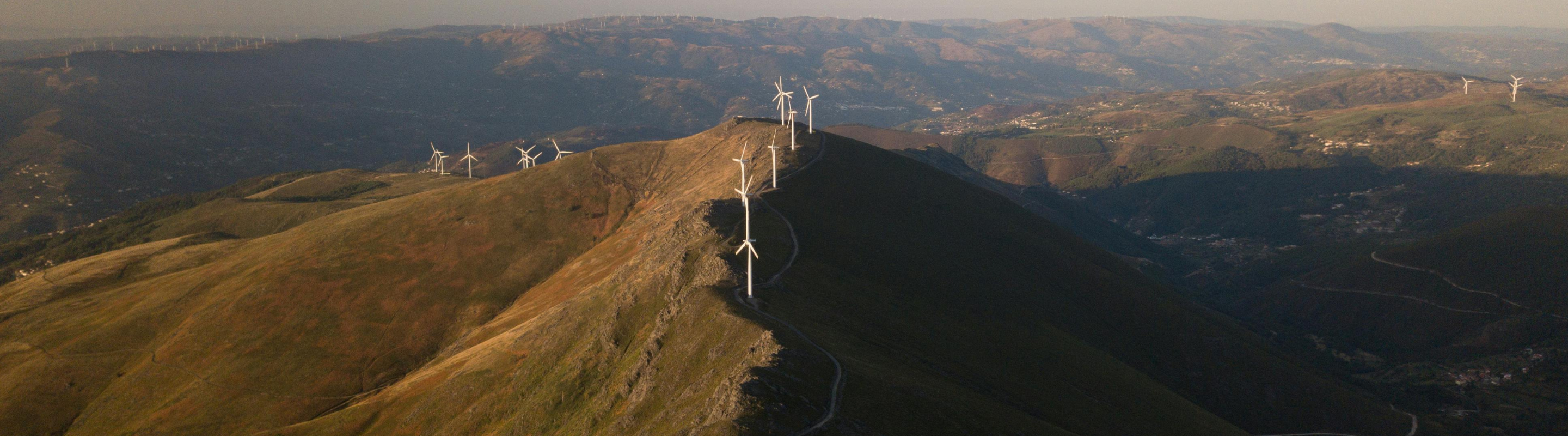 Voluntary Carbon Market