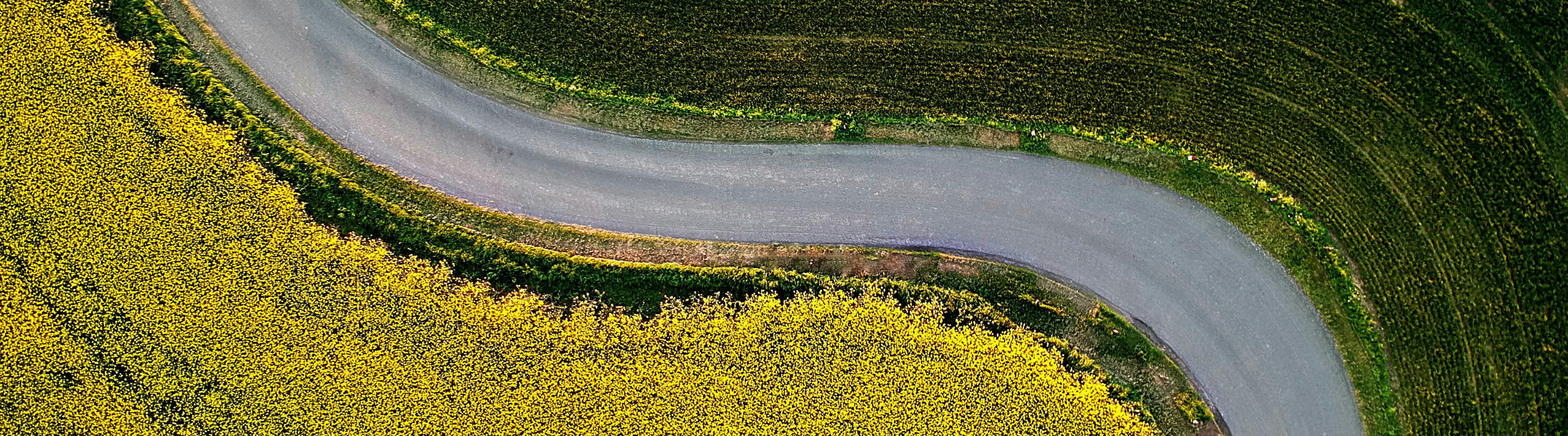 How To Net Zero Podcast Banner