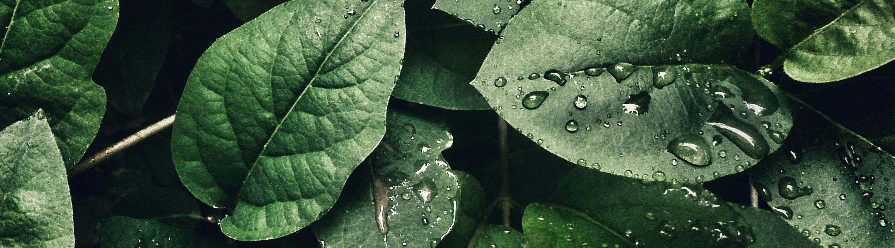 Scope 3 Impact Management Graphic