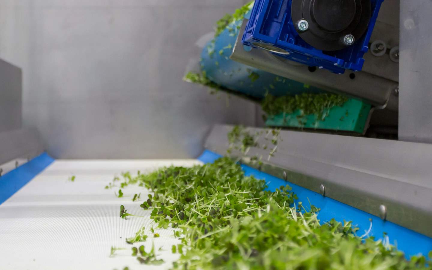 Industrial processing of plant materials on a conveyor belt, representing emissions sources in corporate supply chains