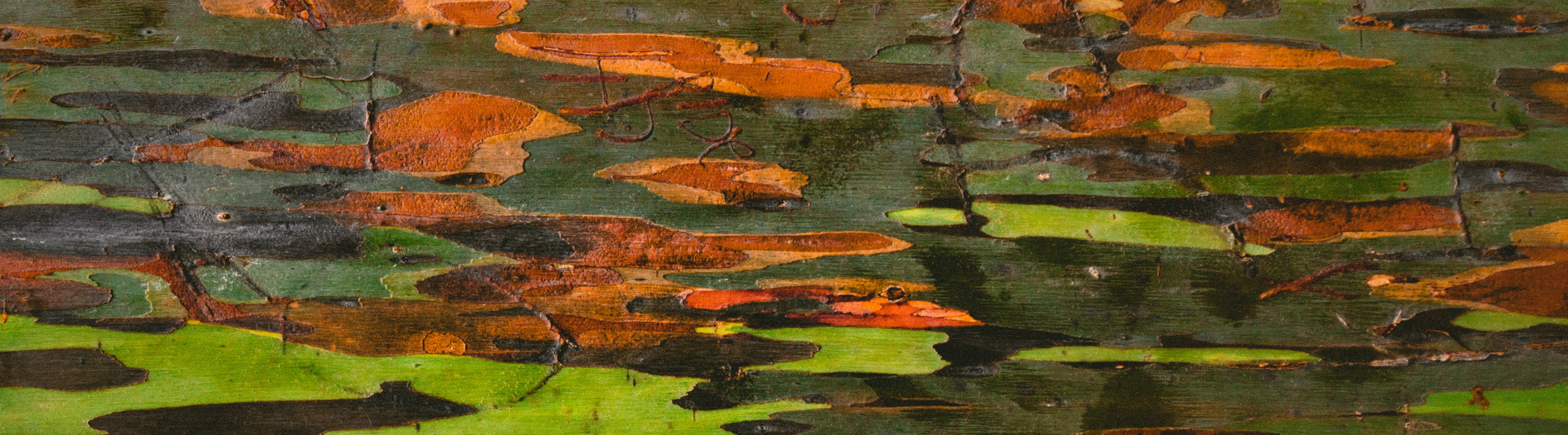 cave light and shadow banner