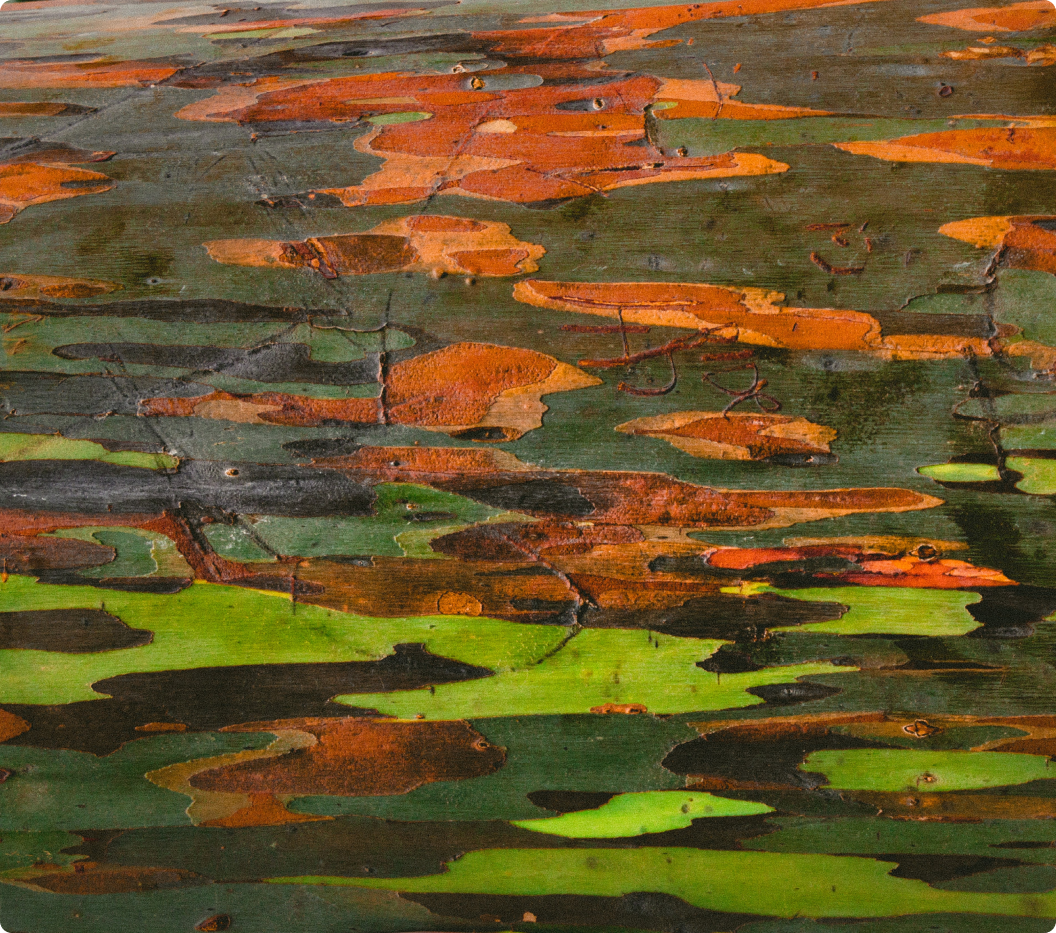 cave light and shadow card