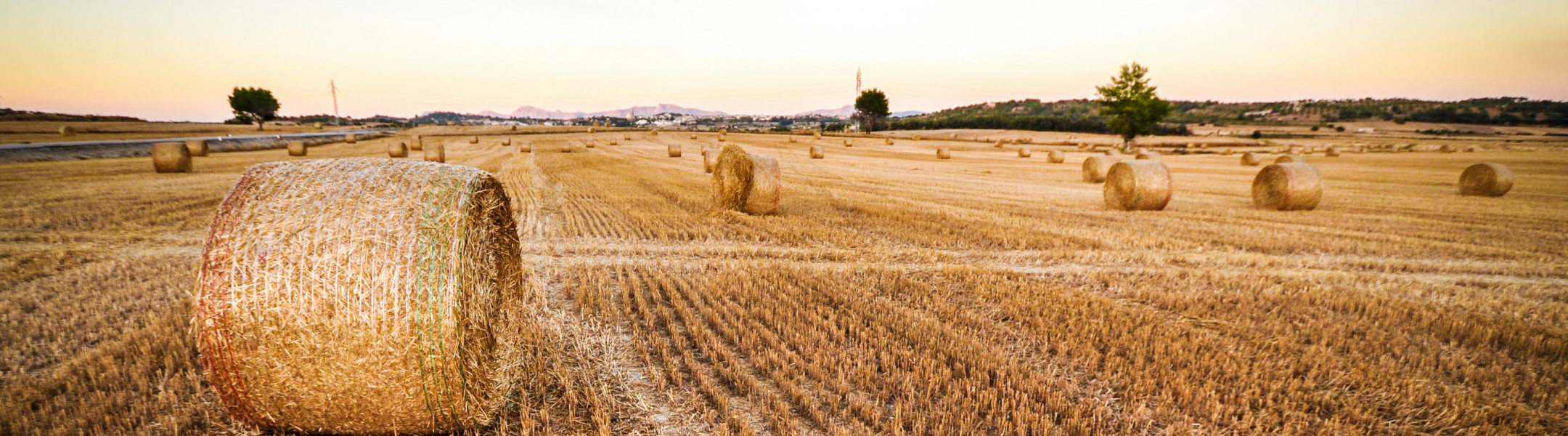 How to reduce Scope 3 emissions?