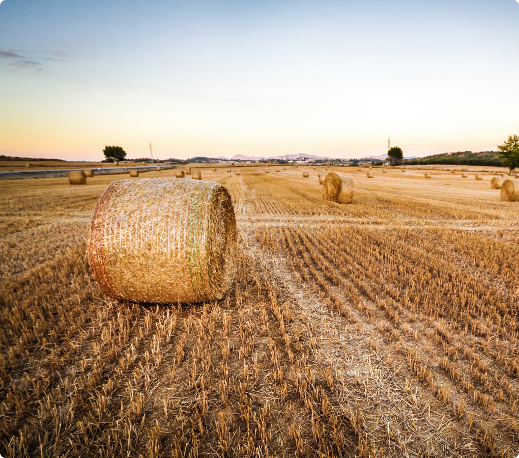 How to reduce Scope 3 emissions?