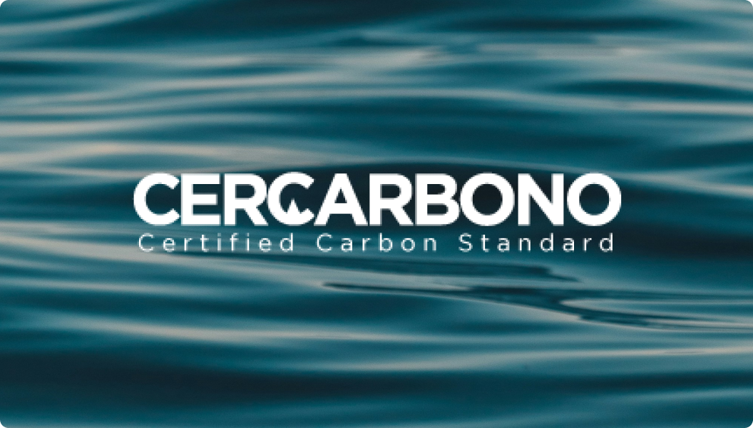 Tower Crane during Daytime