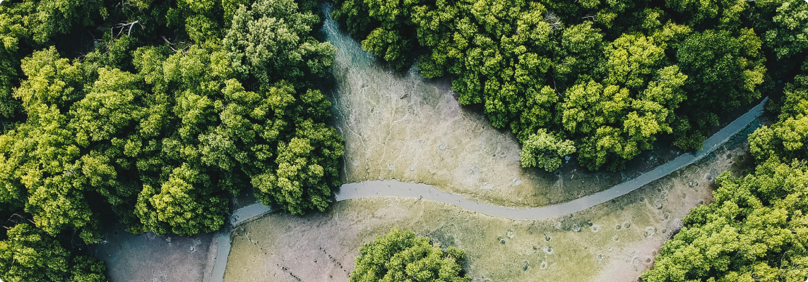 Afforestation and reforestation