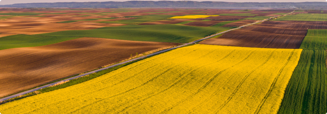 Agriculture