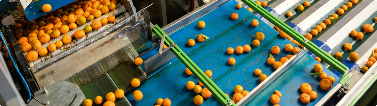 Food and agriculture life cycle assessment