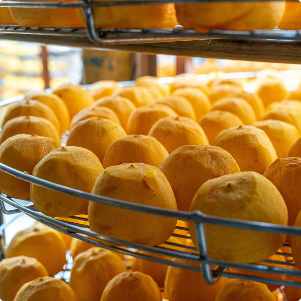 Oranges arranged on racks in a food processing facility, representing post-harvest handling in agricultural supply chains