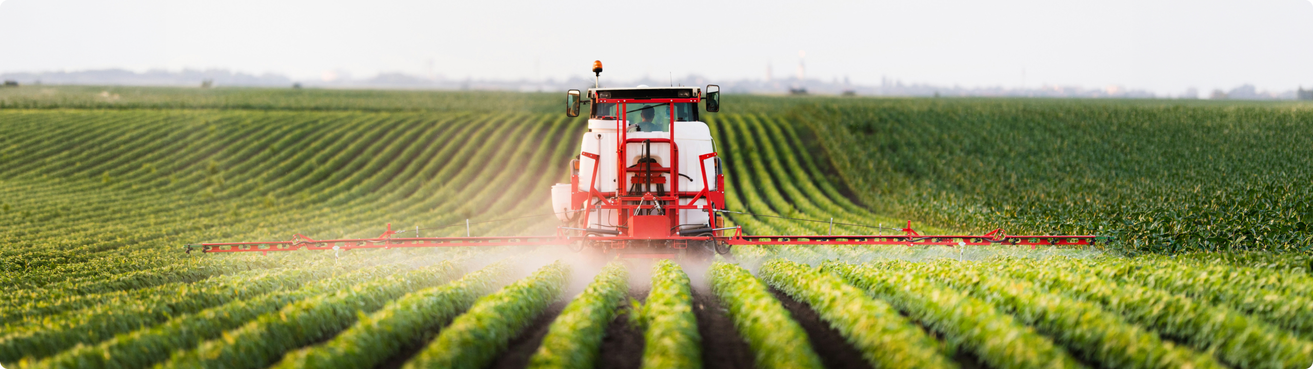Fertiliser efficiency