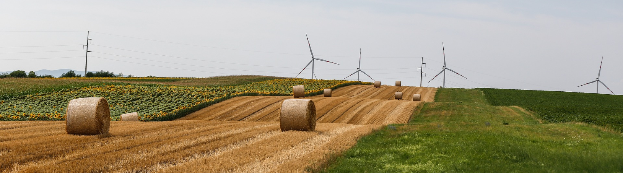 value chain decarbonization