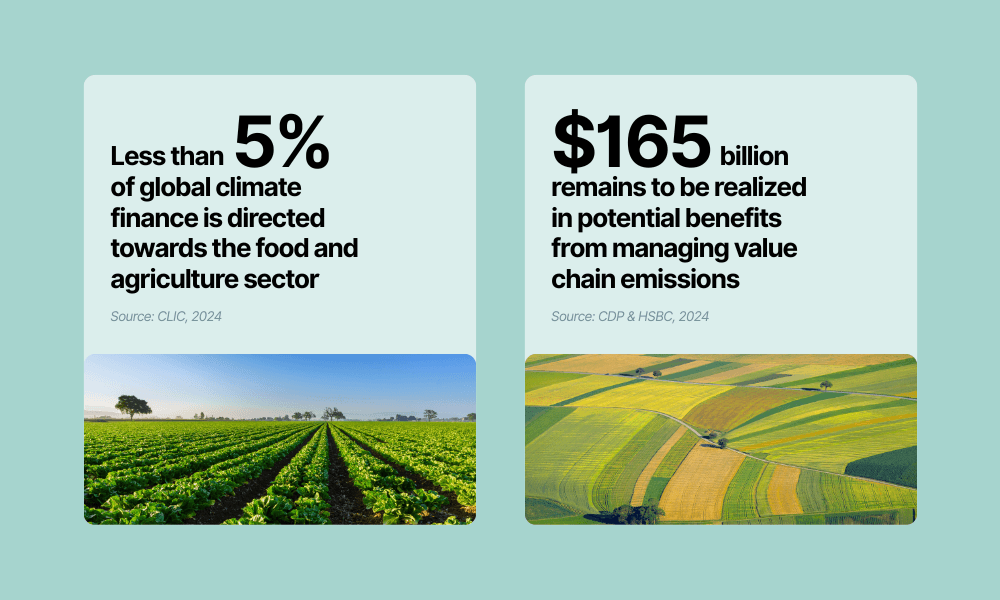 Finance gap for investing in decarbonization