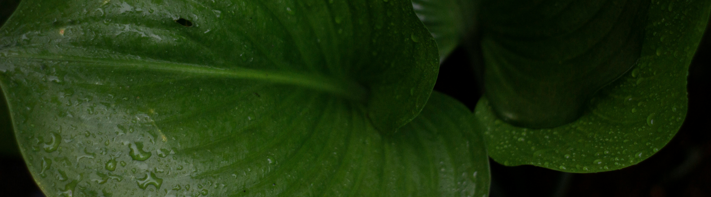 environmental attribute certificates