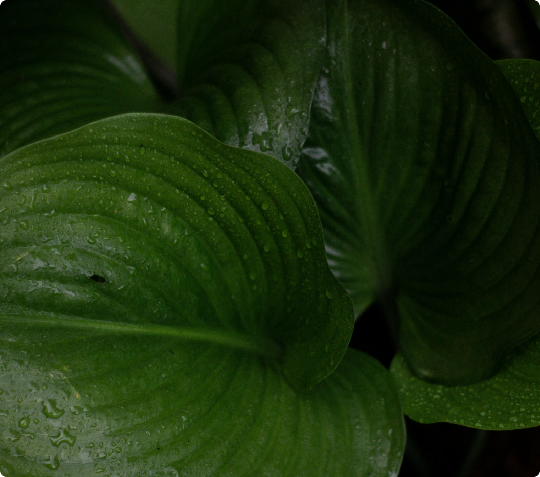 environmental attribute certificates