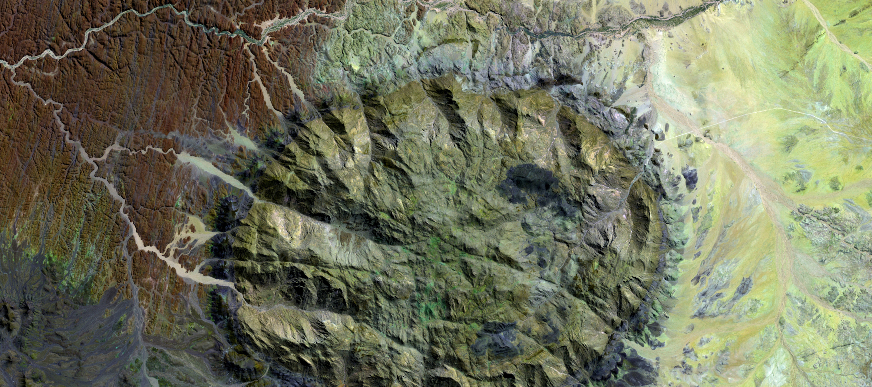 Aerial view of neatly planted rows of crops in a green agricultural field.
