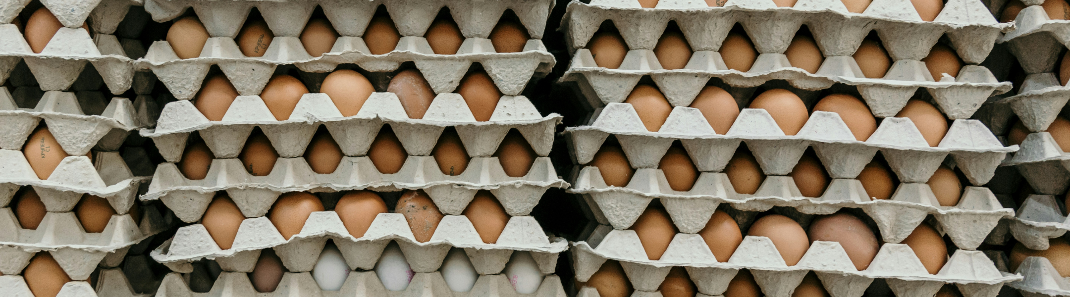 SustainCERT launches Product Carbon Footprint Verification