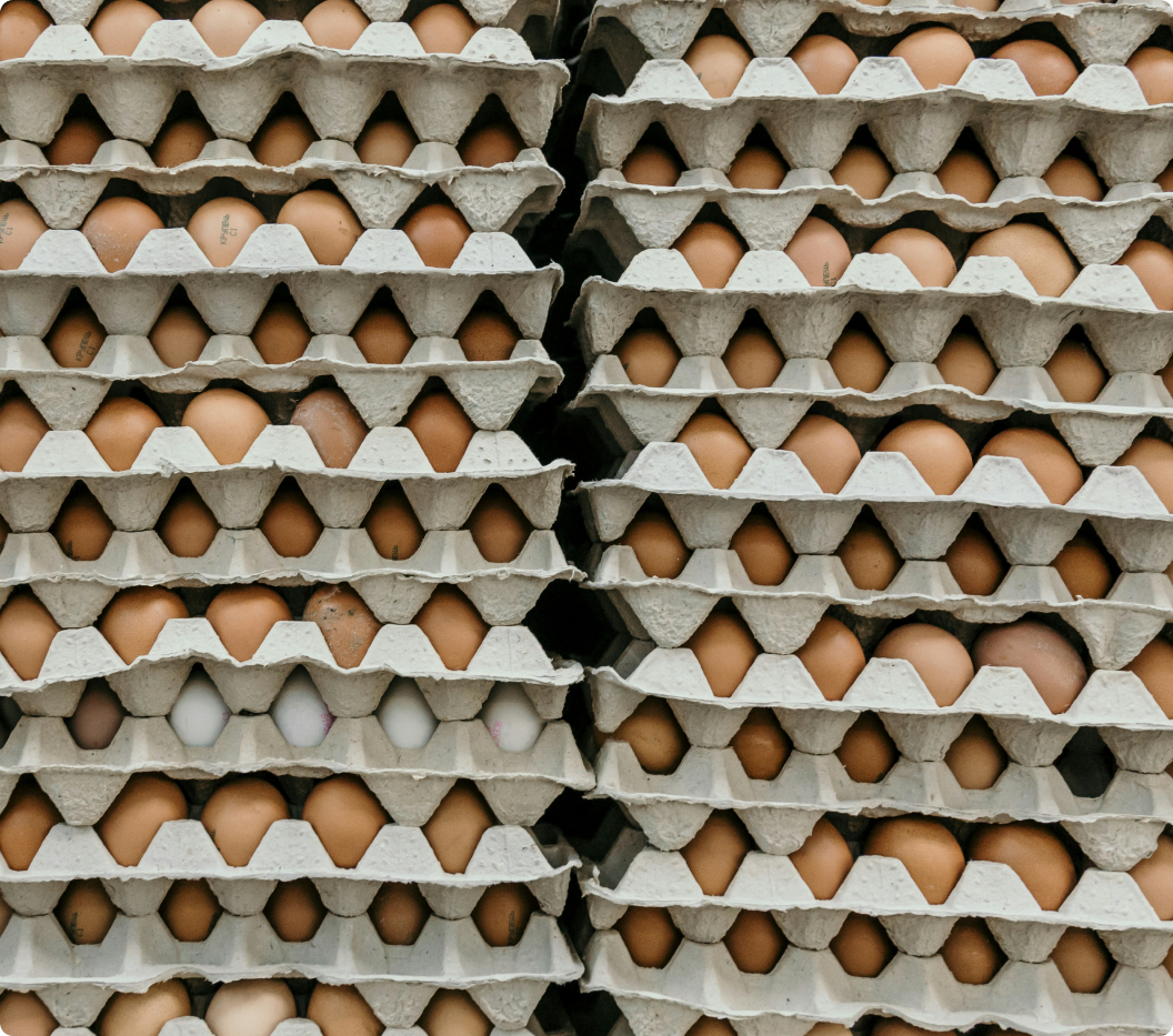 SustainCERT launches Product Carbon Footprint Verification