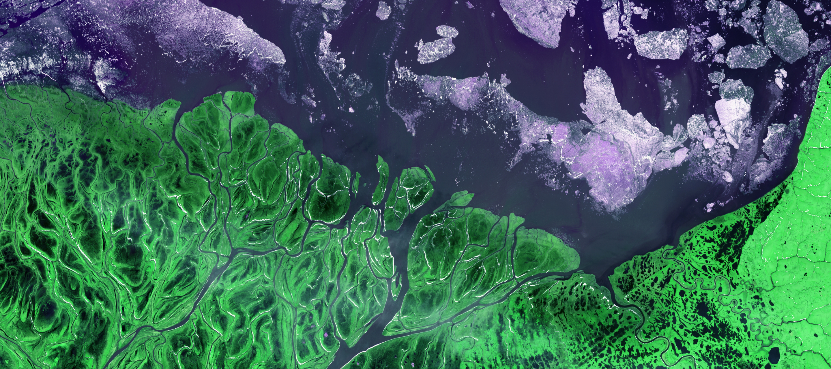 A long row of black and white dairy cows feeding at a trough on a farm.