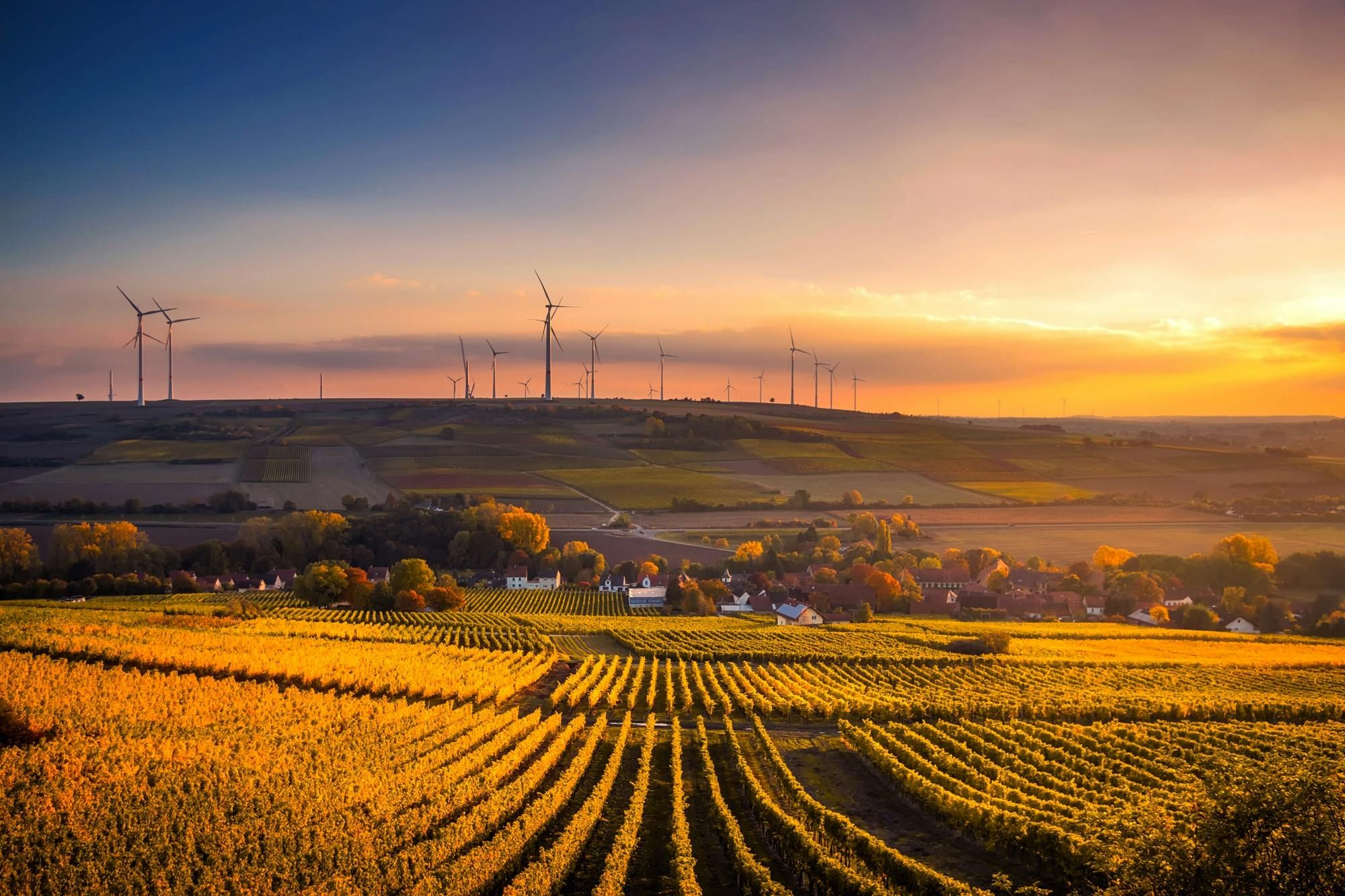 A scenic sunset view of vineyards, a small village, and wind turbines on distant hills, all bathed in warm golden light.