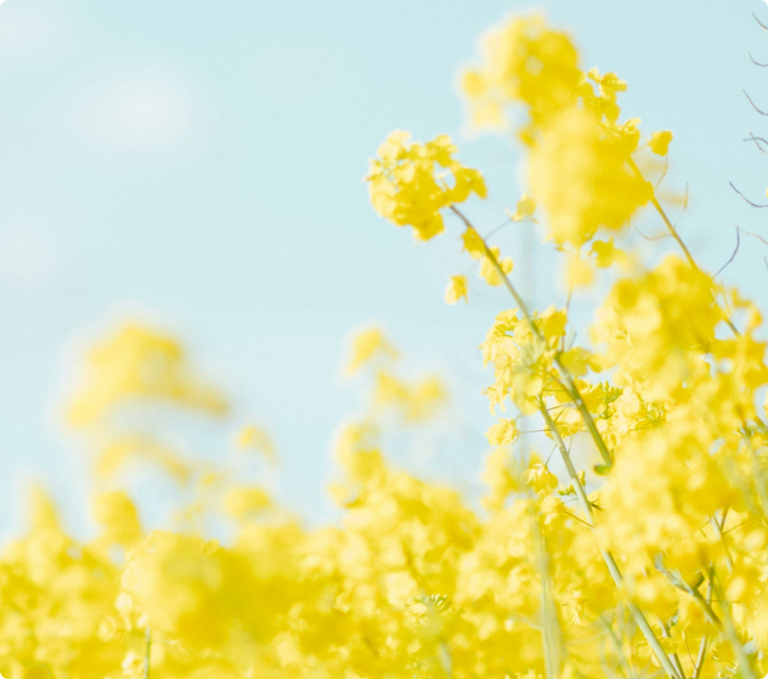 Verified agriculture emissions reductions