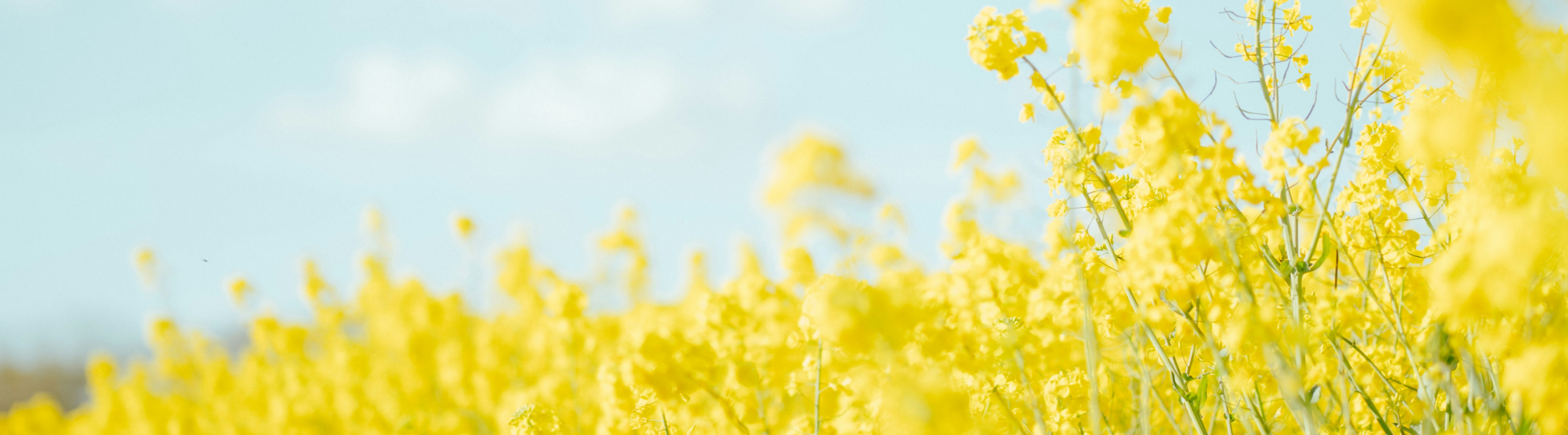 Verified agriculture emissions reductions