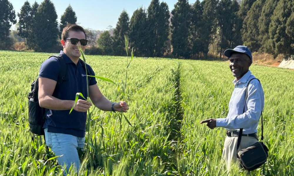 GHG removals validation