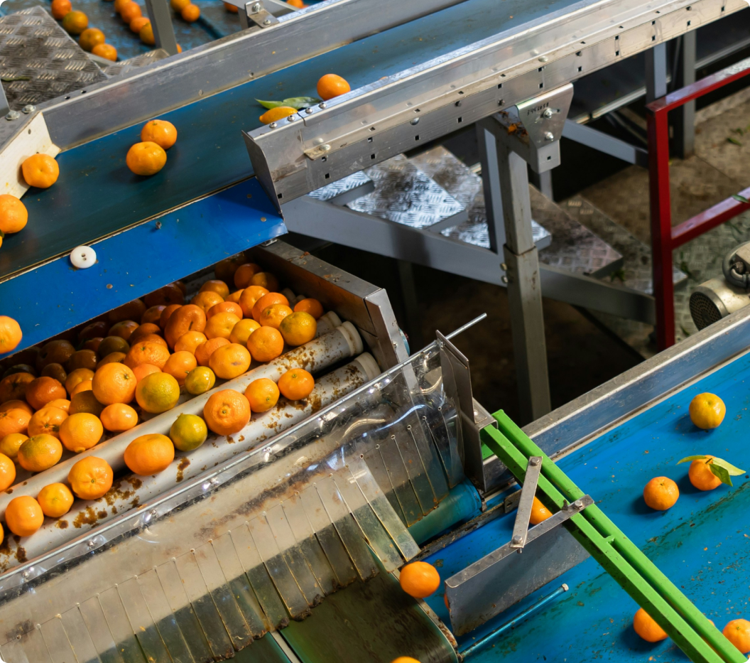 Life Cycle Assessment