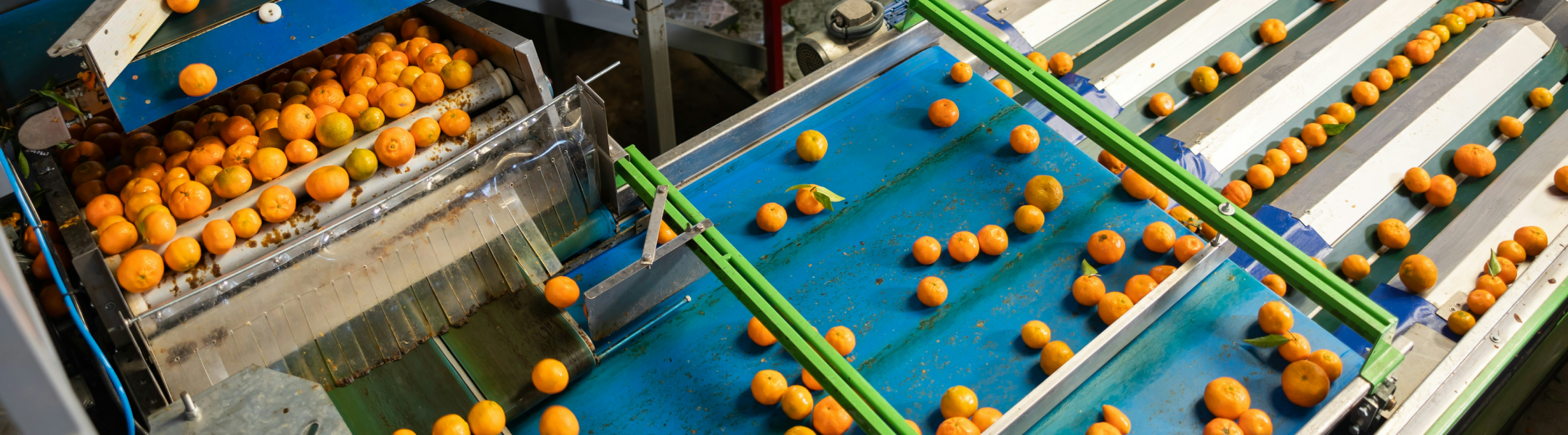 Life Cycle Assessment Reviews