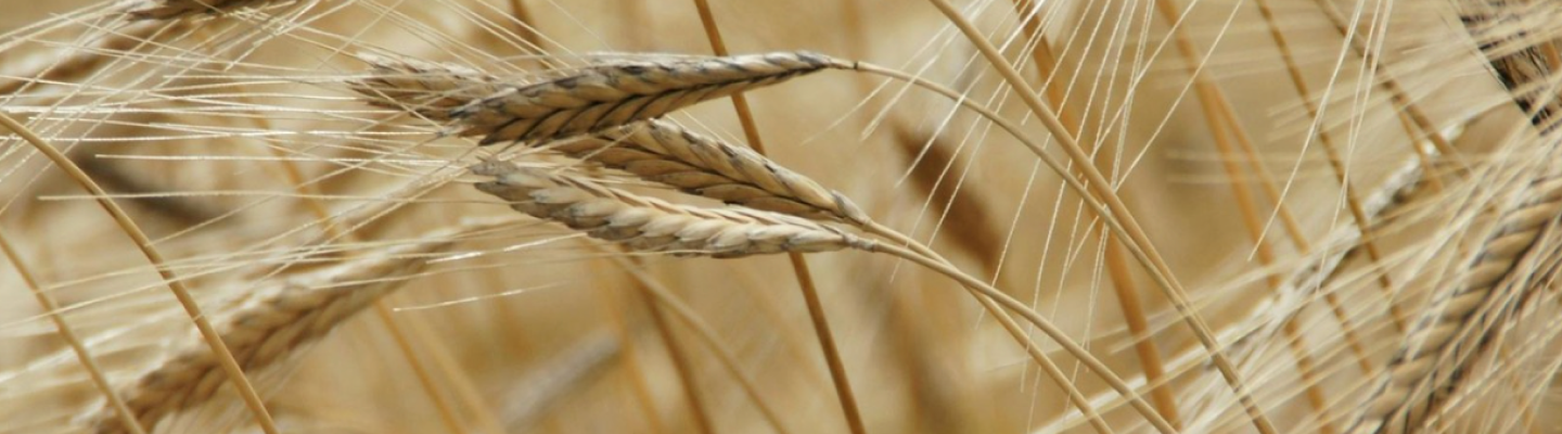 Agricultural Land Management