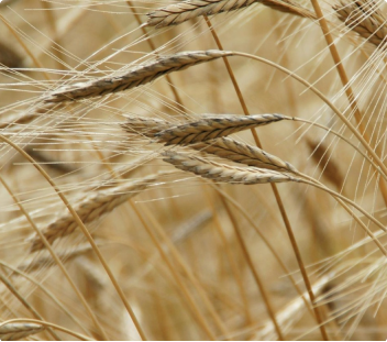 Agricultural Land Management