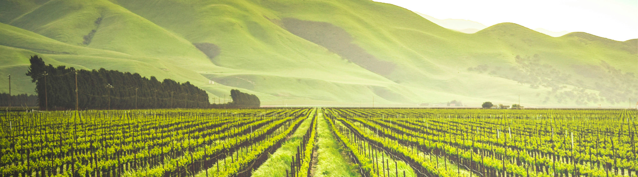 difference between Scope 1, 2 and 3 emissions