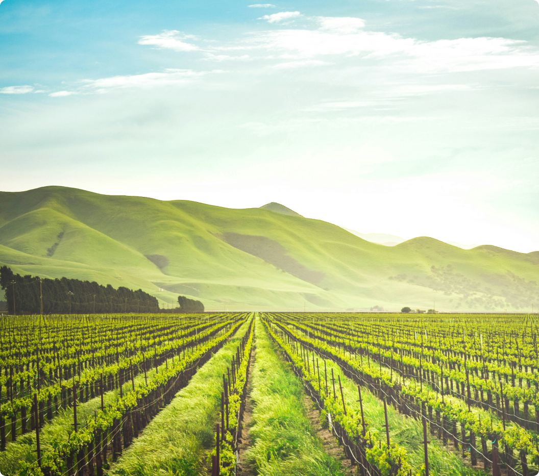 difference between Scope 1, 2 and 3 emissions