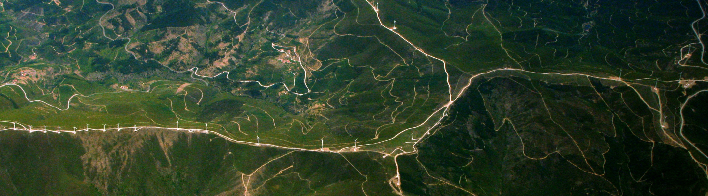 green landscape aerial shot banner